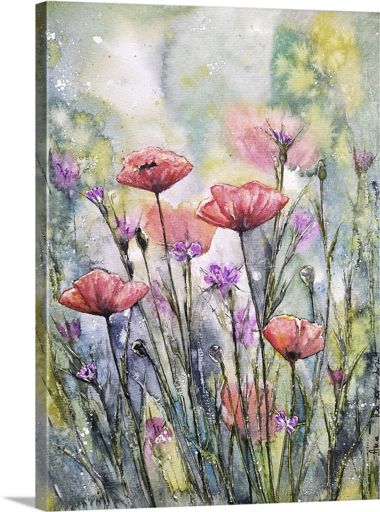 Poppy Flowers V