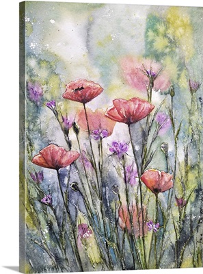 Poppy Flowers V image thumbnail