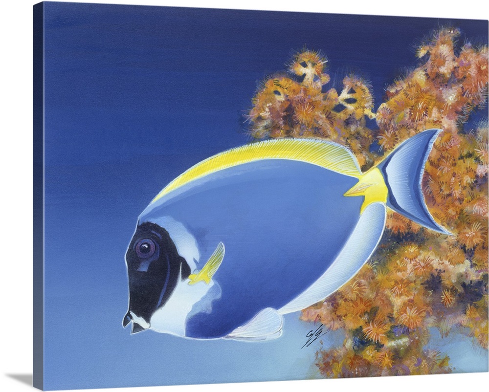 Contemporary painting of a tropical blue fish.