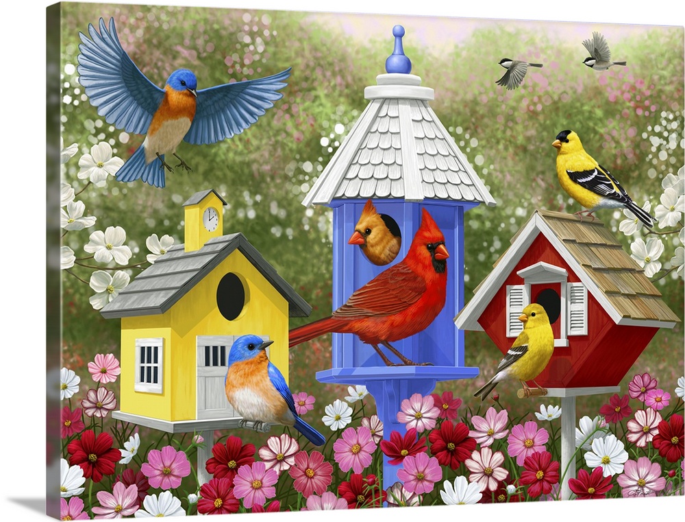 Several songbirds including cardinals, bluebirds, and goldfinches visiting birdhouses.