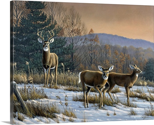 In His Prime Whitetail Deer Conservation Limited Edition Art Print