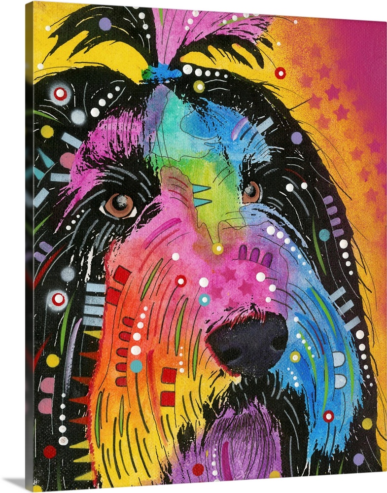Colorful painting of a Havanese with abstract markings on a pink and yellow background with a star design.