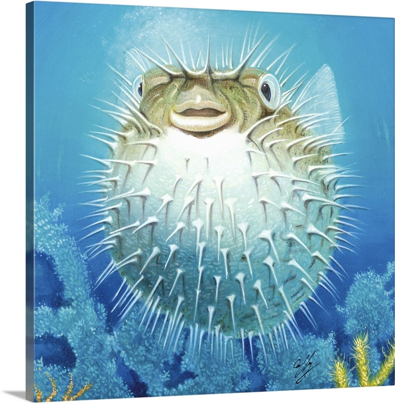 Puffer Fish Great Big Canvas