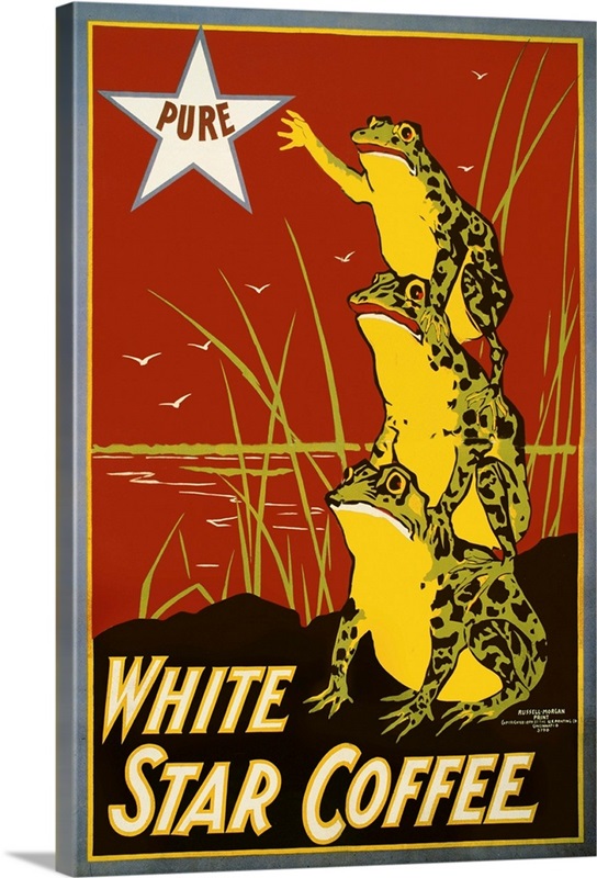 Pure White Star Coffee, Frogs Great Big Canvas