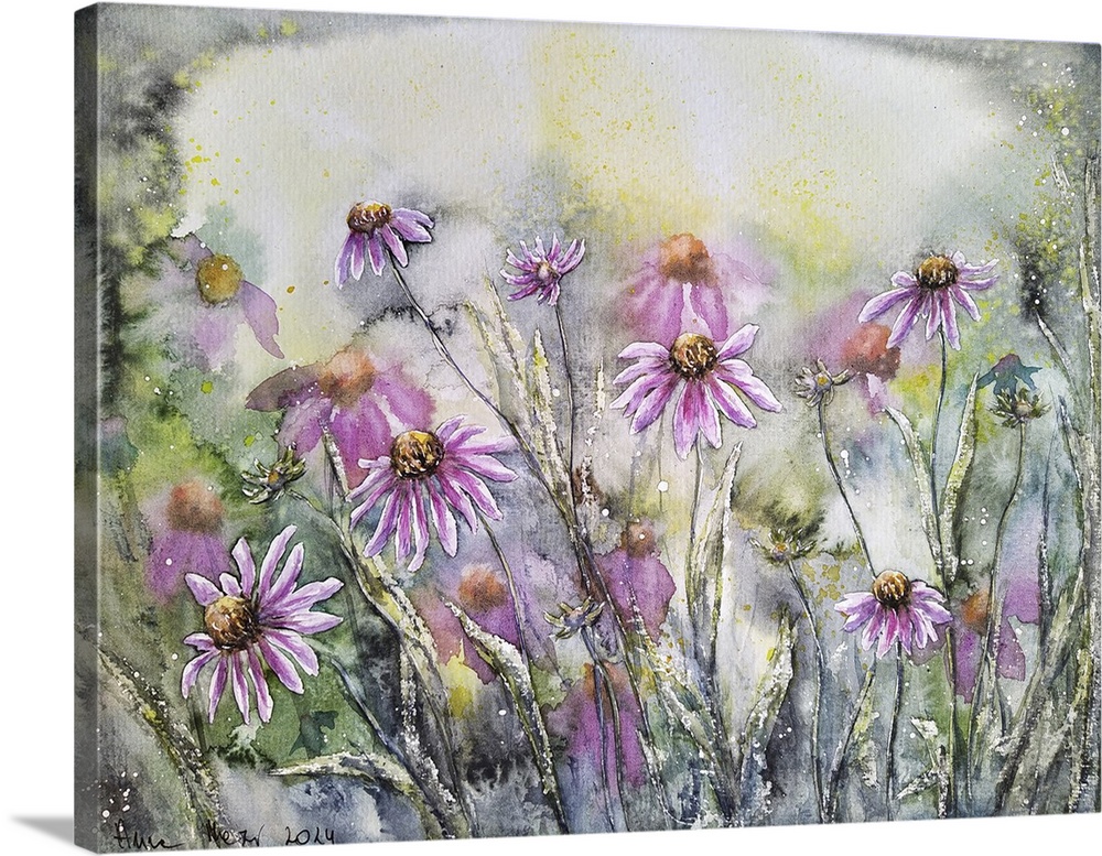 Purple Coneflowers I