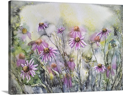 Purple Coneflowers I