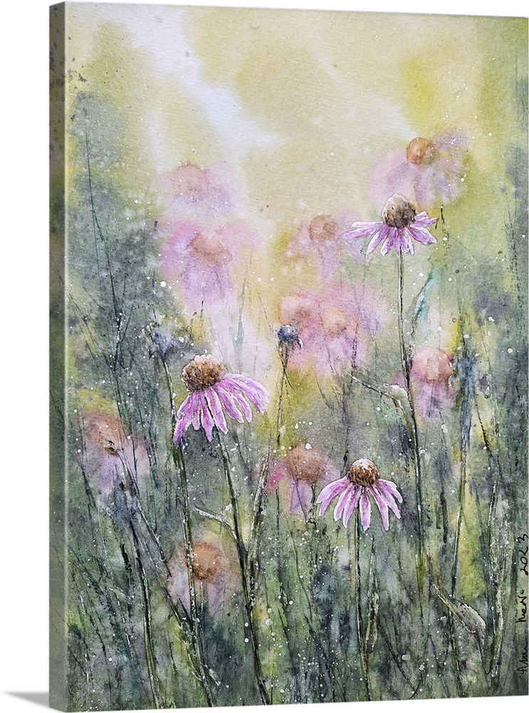 Purple Coneflowers II