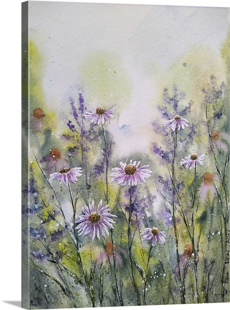 Purple Coneflowers III