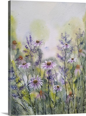 Purple Coneflowers III