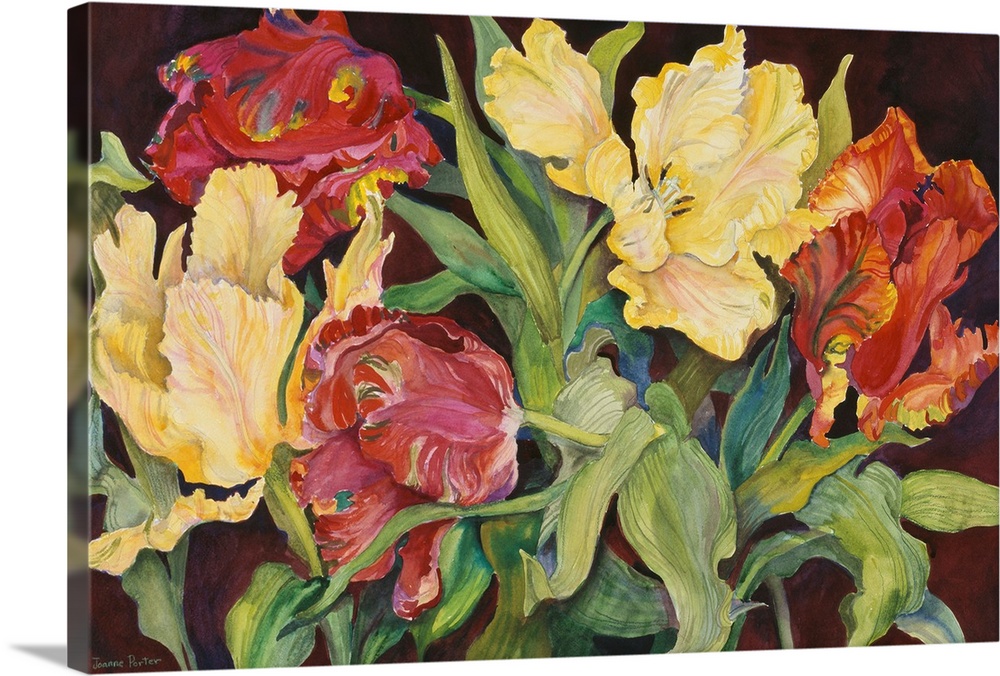 Colorful contemporary painting of red and yellow parrot tulips.