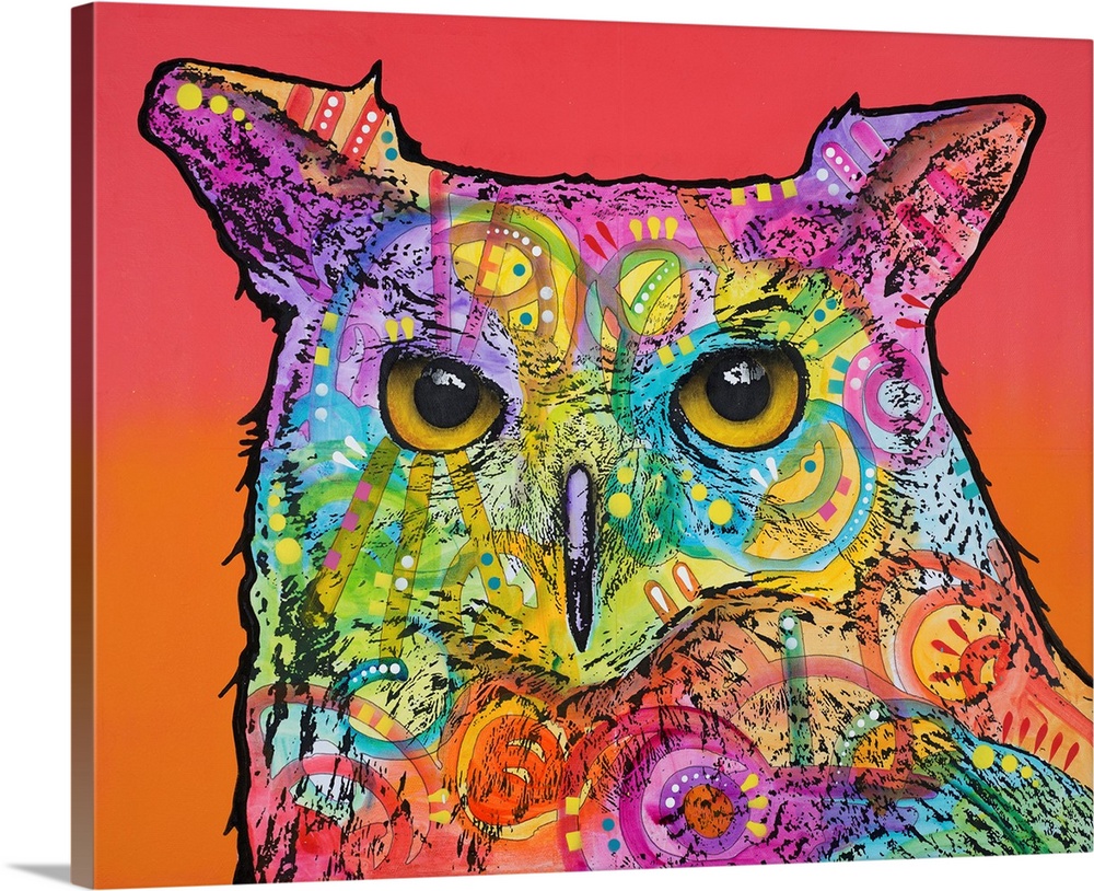Colorful painting of an owl with abstract designs on a red and orange background.