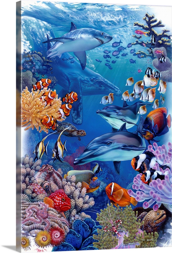 underwater scene with dolphins, shark, clown fish