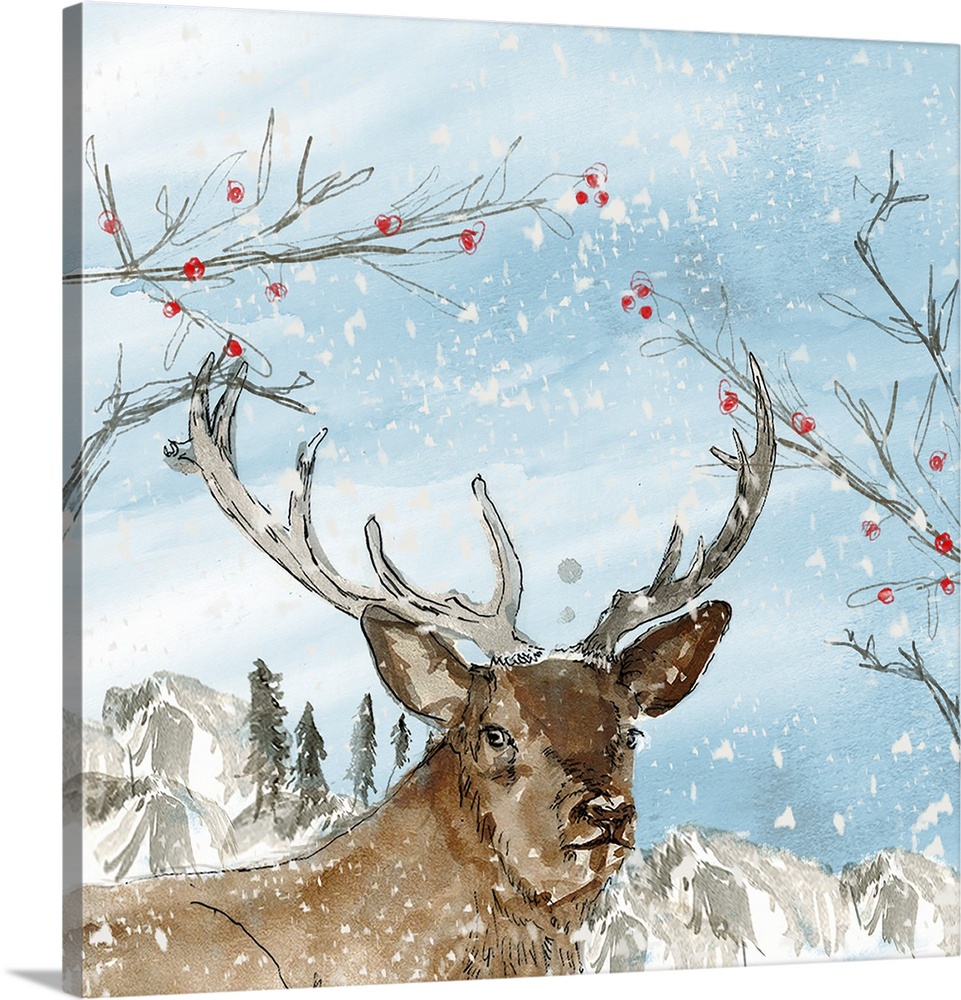 Reindeer