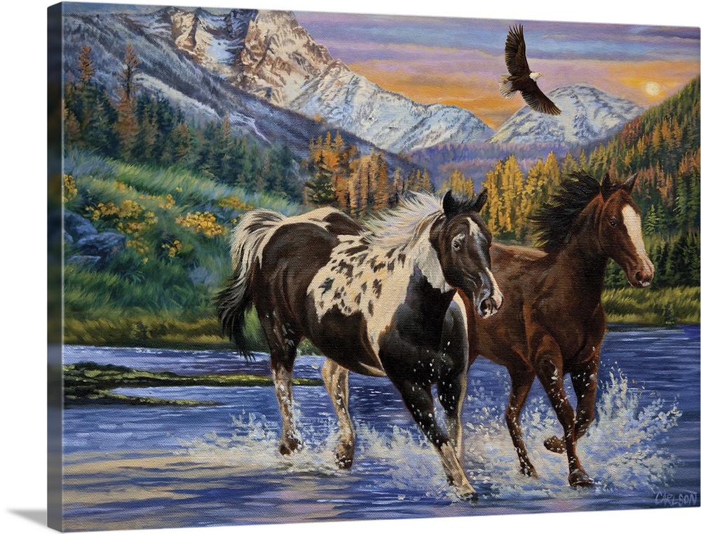 Two Horses running through water, eagle flying overhead