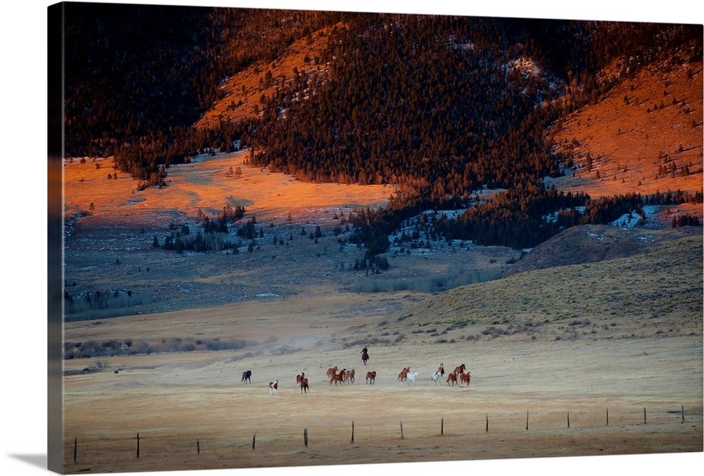 Dramatic mountain valley with group of horses and rounder