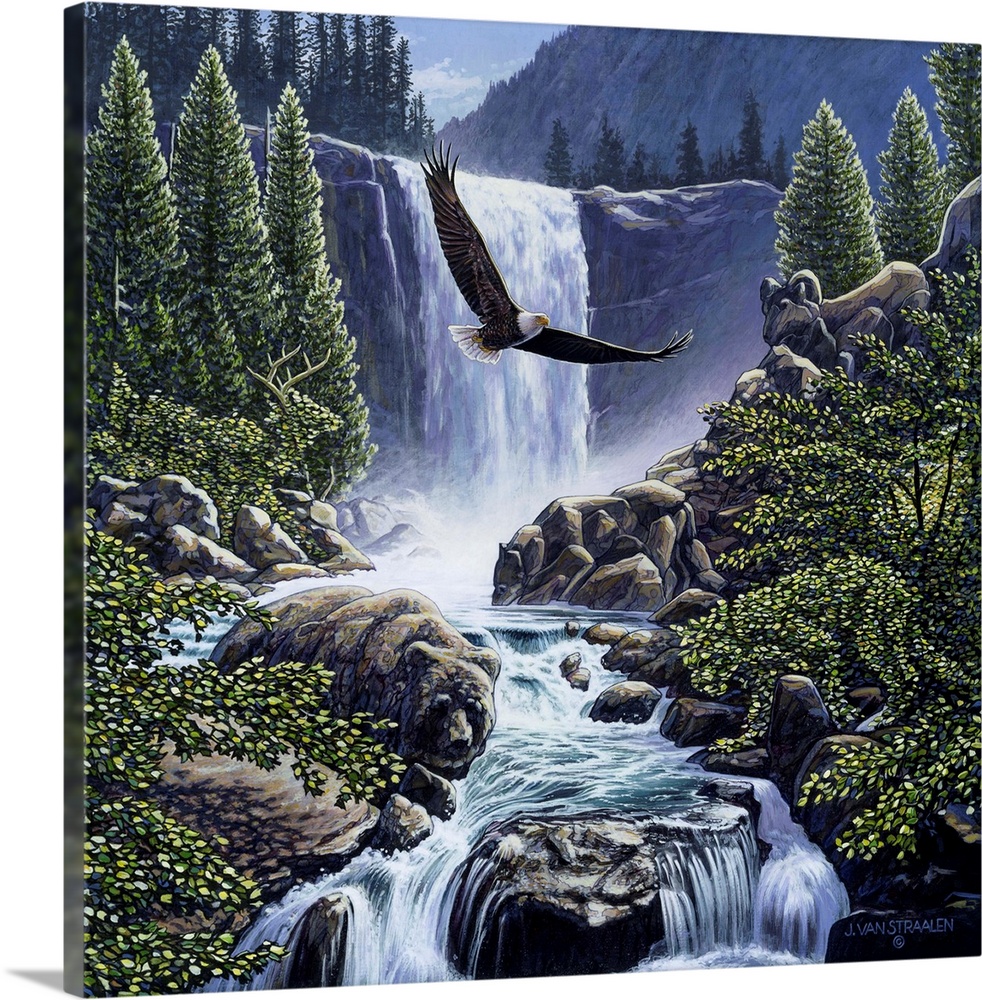 Eagle flying over a river with a waterfall behind him.