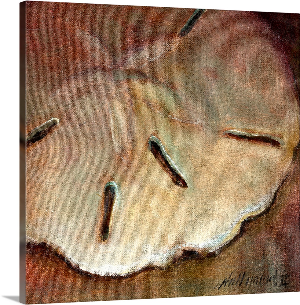 Contemporary still-life painting of a sand dollar close-up.