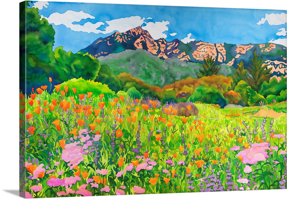 Santa Barbara Botanic Garden