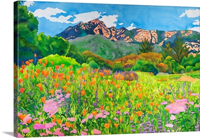 Santa Barbara Botanic Garden