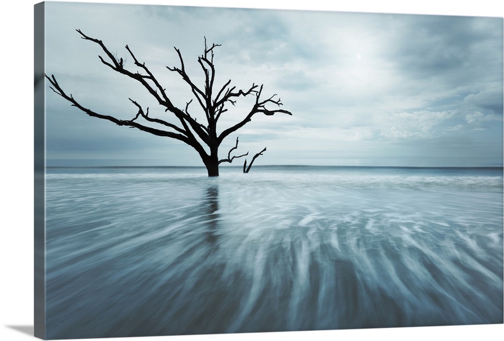 An artistic photograph of a dead tree standing lone in shallow dark blue water under a cloudy ominous sky.