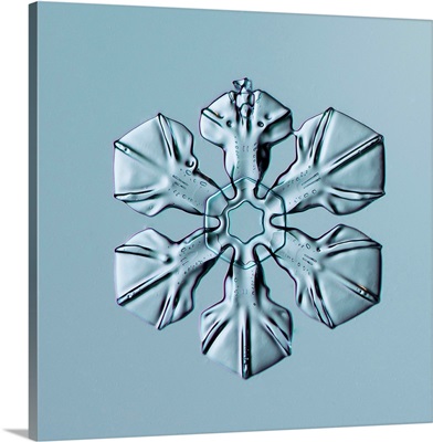 Sectored Plate Snowflake