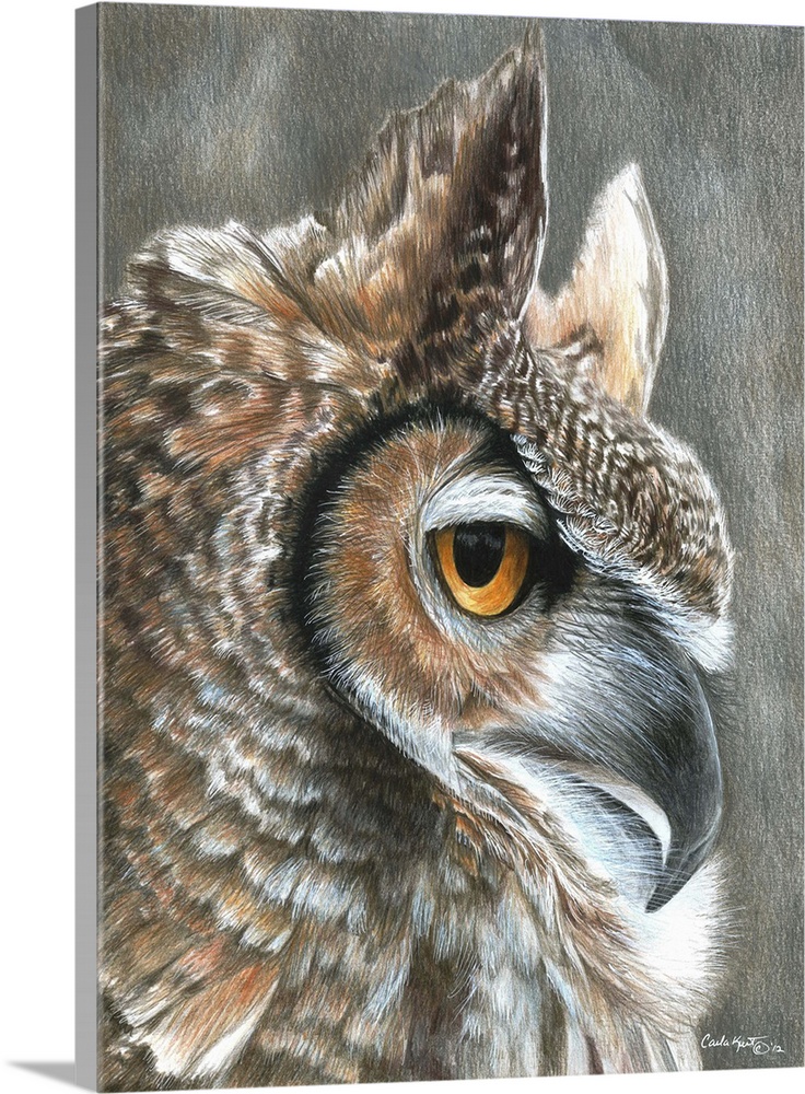 Contemporary artwork of an owl close-up on its face.