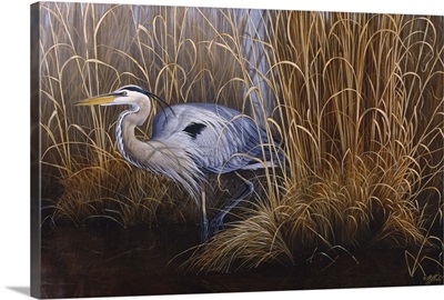 Set In Gold - Great Blue Heron