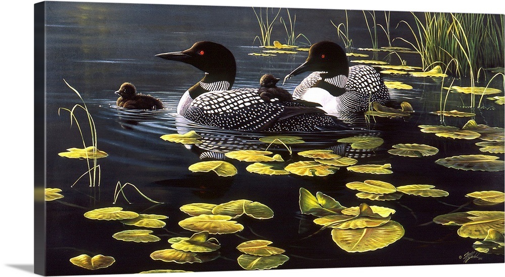 Shoreline Refuge Loon Family Wall Art, Canvas Prints, Framed Prints