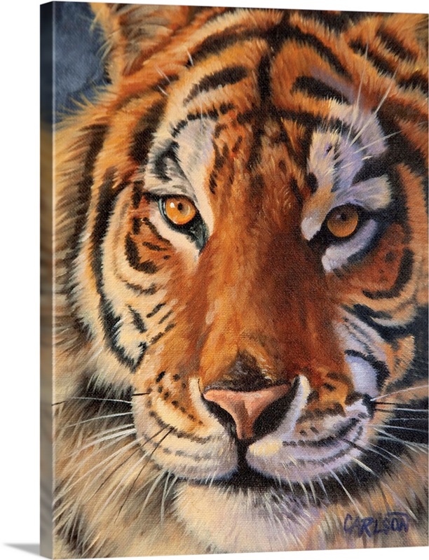 Siberian Tiger | Great Big Canvas