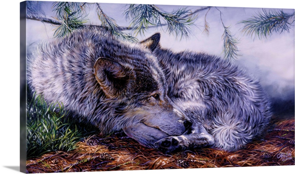 wolf lying on forest bed