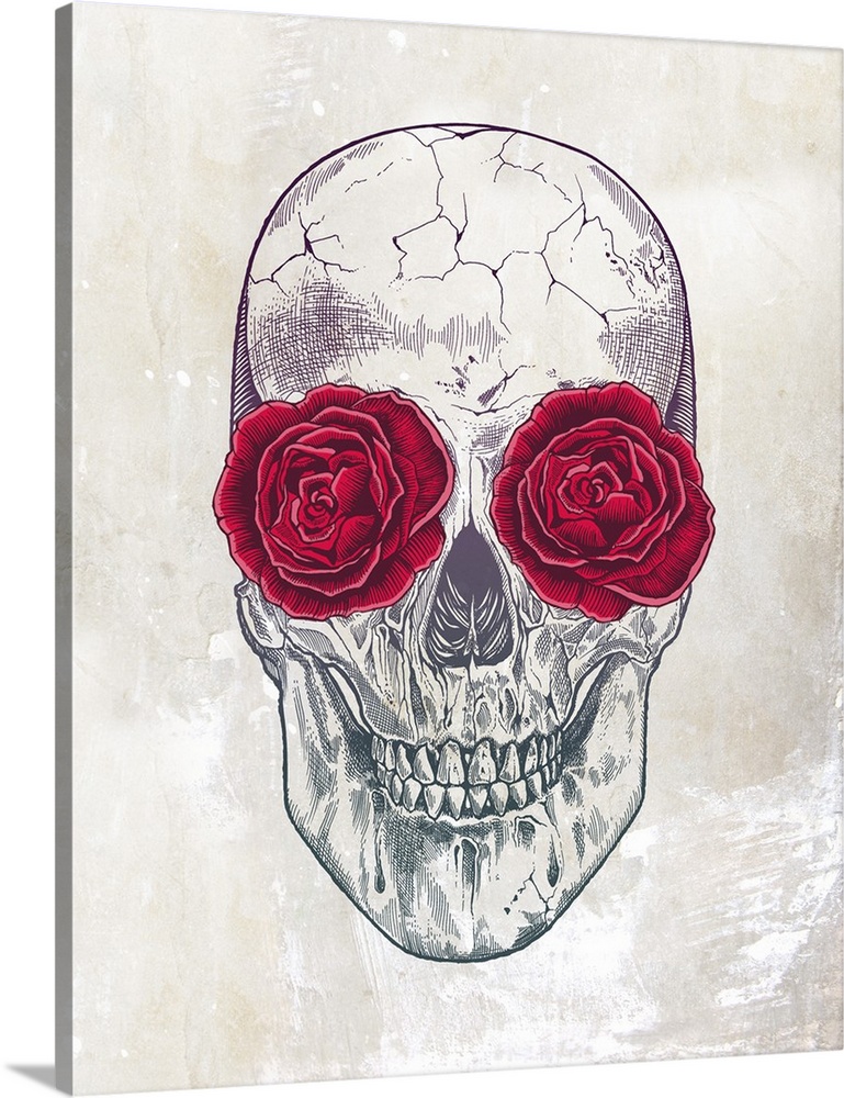 Illustration of a skull with red roses in the eye sockets.