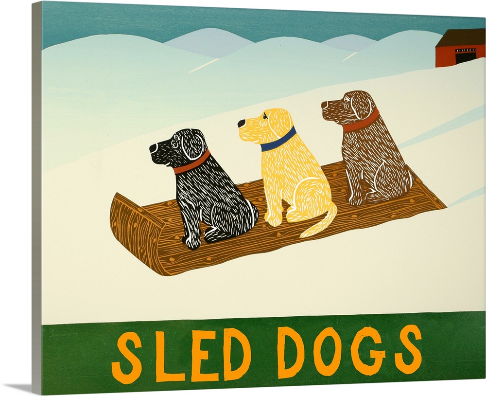 Illustration of a chocolate, yellow, and black lab sledding down the slopes with the phrase  "Sled Dogs" written on the bo...