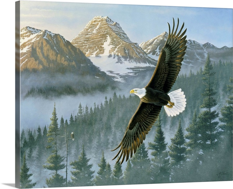 Soaring Eagle Great Big Canvas