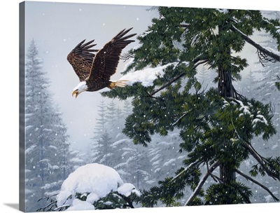Soaring Eagle, Winter