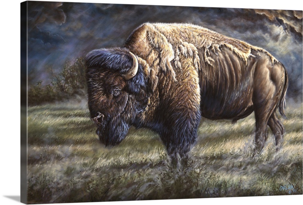 Spirit Of The Plains (Bison) Wall Art, Canvas Prints, Framed Prints ...