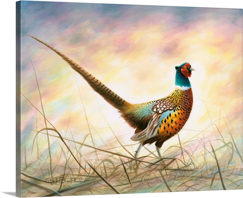 Contemporary painting of a colorful bird with a long feathered tail.