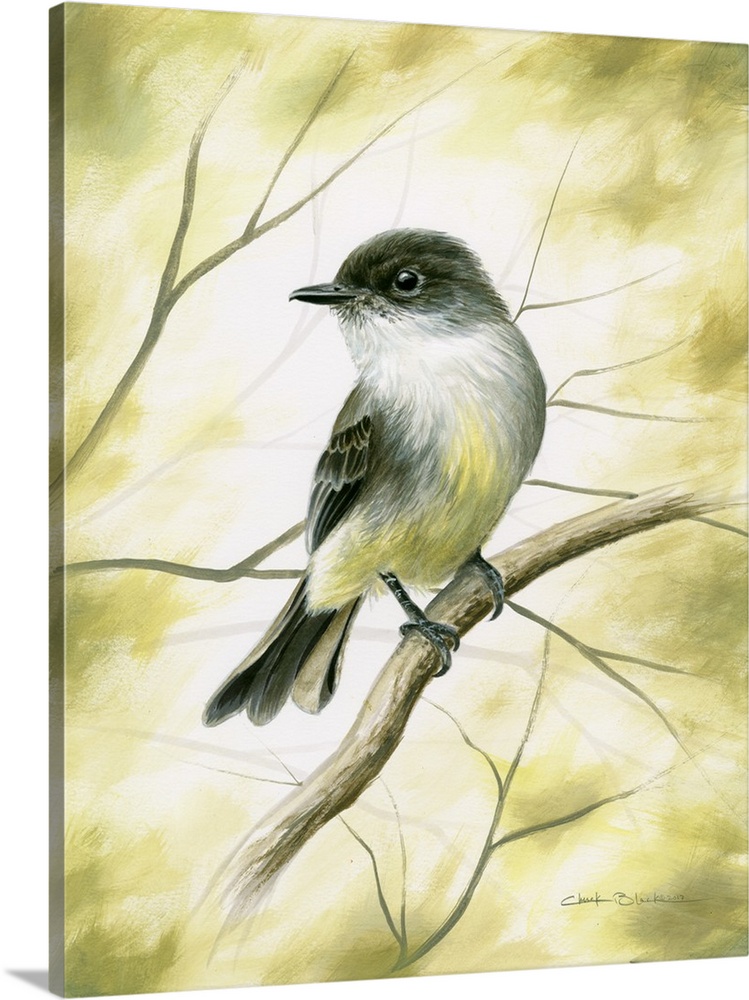 Contemporary painting of a white, black, and yellow garden bird on a branch.