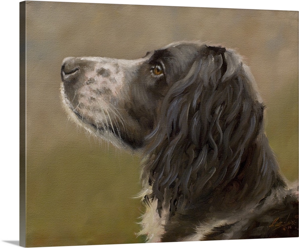 Contemporary painting of a springer spaniel.