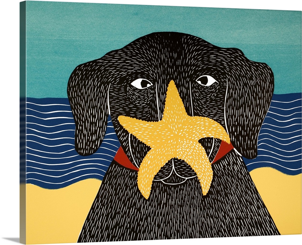 Illustration of a black lab at the beach with a starfish on its nose.
