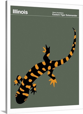 State Posters - Illinois State Amphibian: Eastern Tiger Salamander