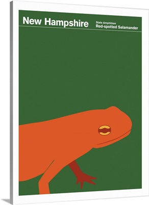 State Posters - New Hampshire State Amphibian: Red-spotted Salamander
