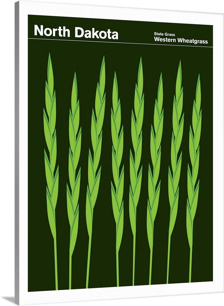 State Posters - North Dakota State Grass: Western Wheatgrass