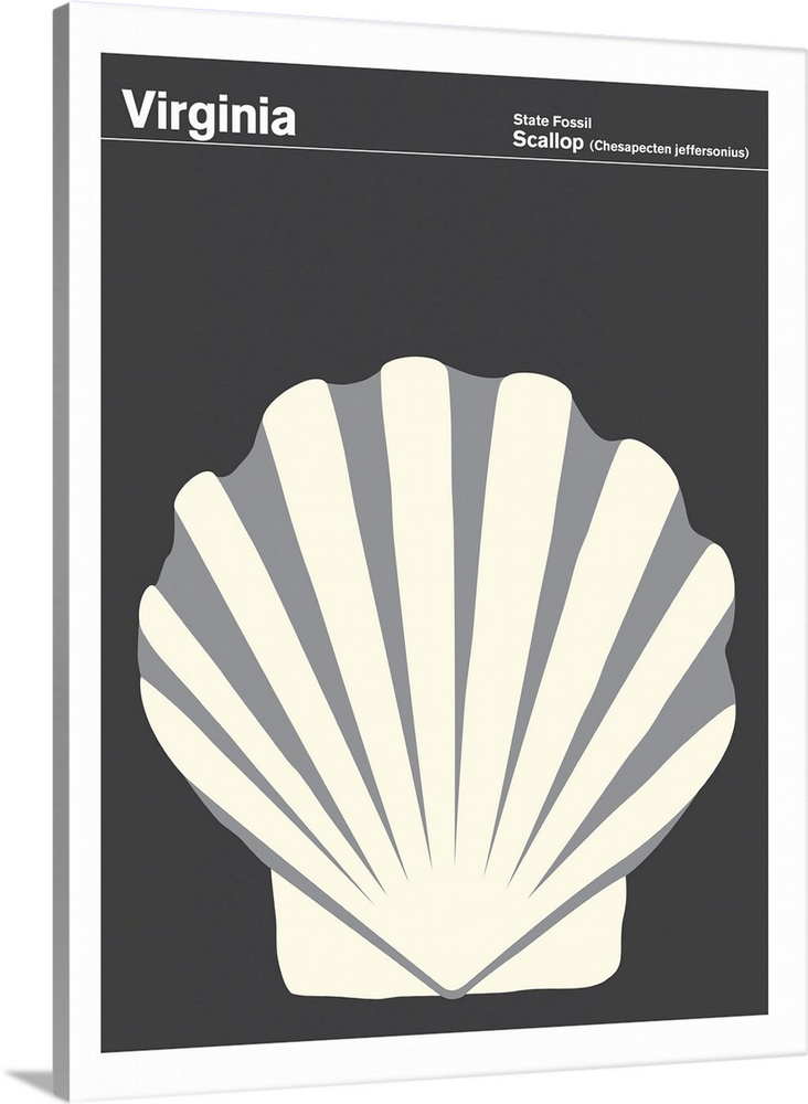 State Posters - Virginia State Fossil: Scallop