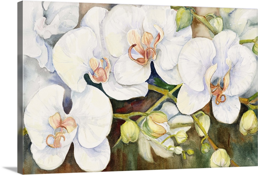 Murals XXL Pictures Flowers Orchid SHEET CANVAS ART PRINT 205245P 