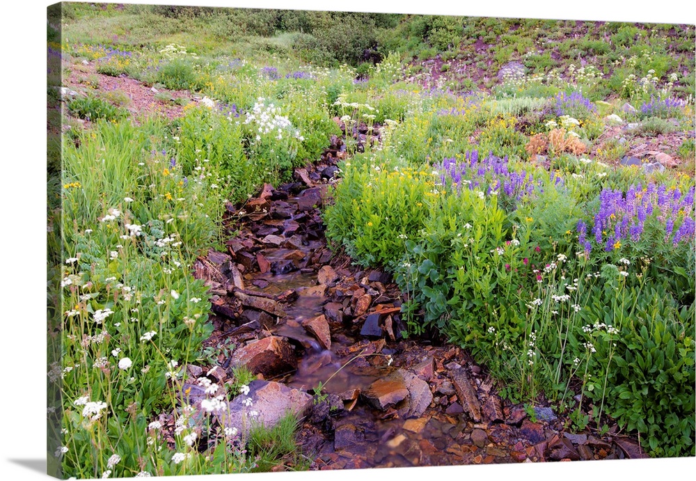 Photograph of a small rocky creek surrounded with wildflowers.