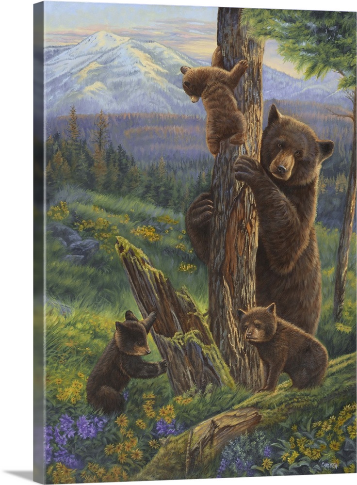 Bears climbing on a tree