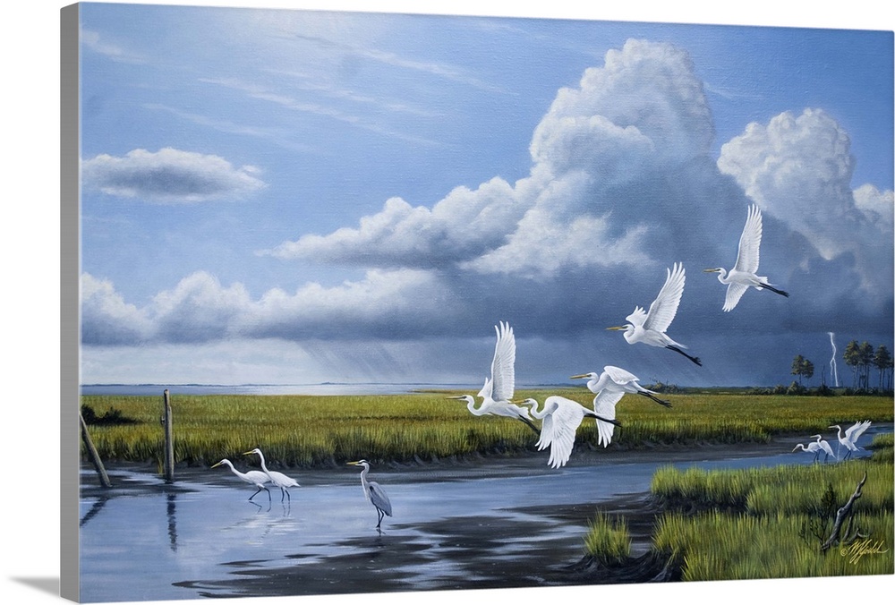 A flock of egrets in flight over a marsh with storm clouds in the distance.