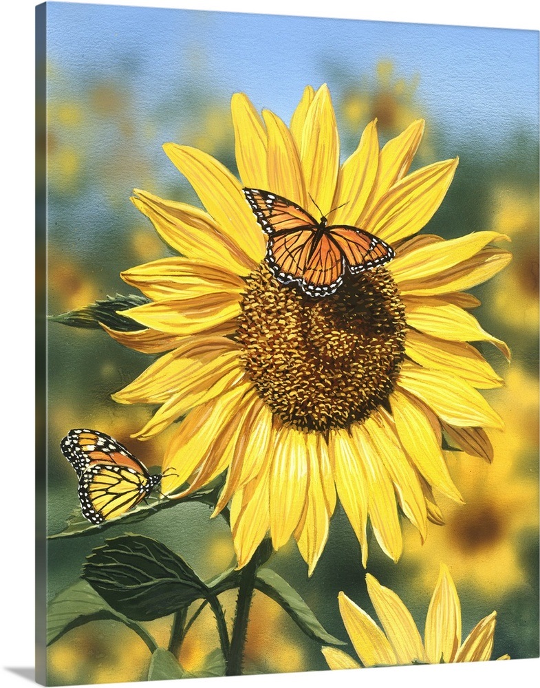 Sunflower, Butterflies Wall Art, Canvas Prints, Framed Prints, Wall Peels Great Big Canvas
