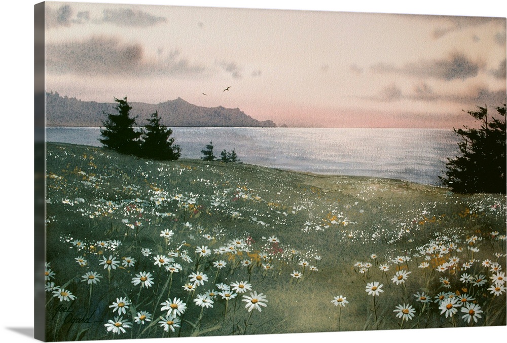 A field of wildflowers in sunlight.