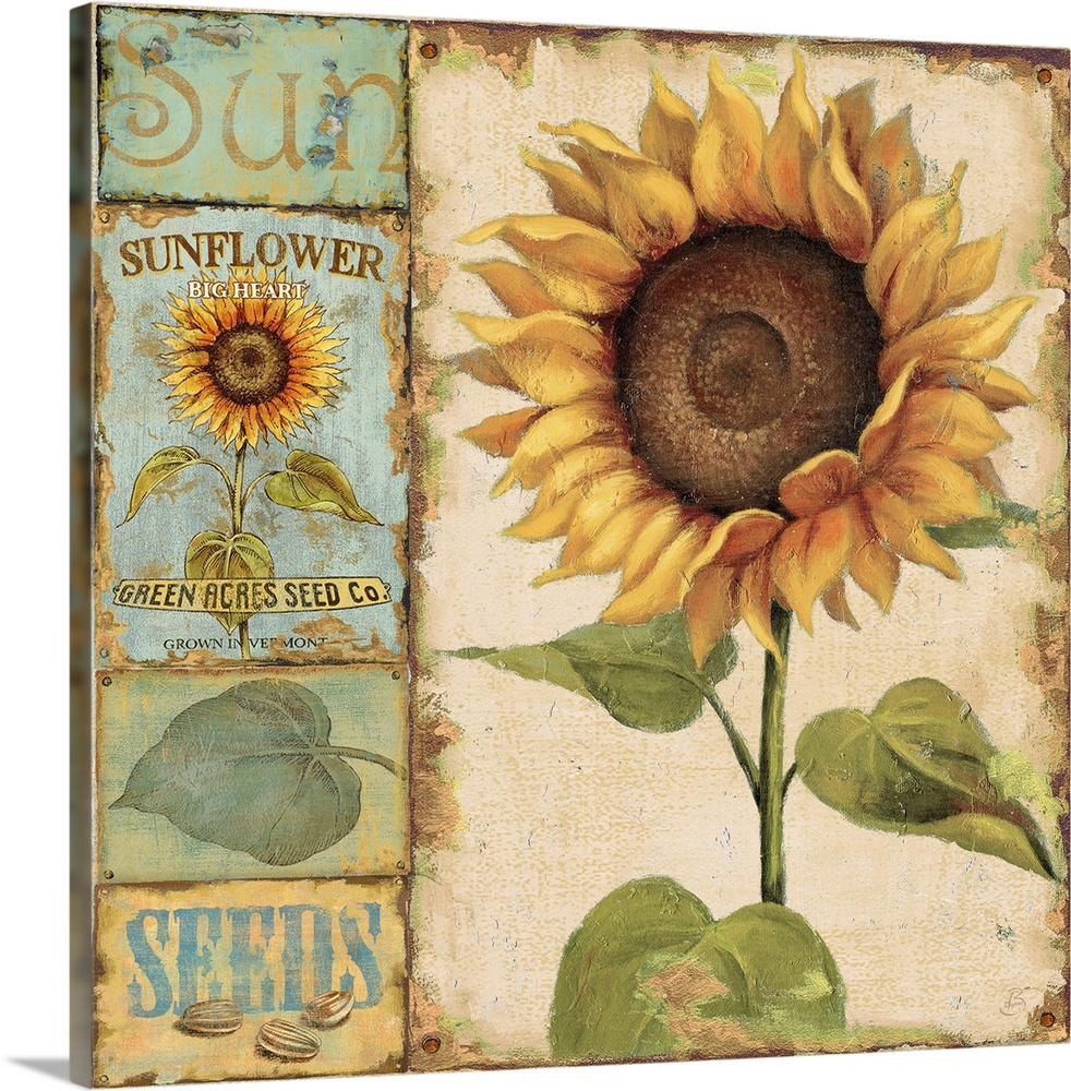 Square large home art docor of a sunflower with four small related images lined vertically to its left.  The smaller image...
